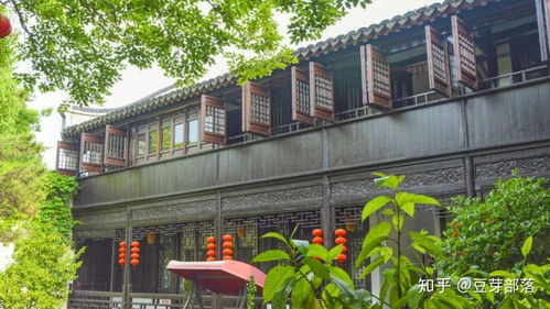 旅行Plog 風起蘆葦蕩，心動沙家浜