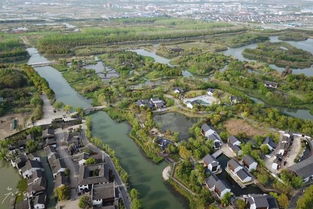 三天二晚玩轉沙家浜 荷花滿池、紫色花海與特色民宿的完美邂逅
