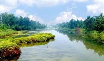沙家浜·溱湖濕地2日游 水鄉紅色記憶與生態畫卷的交融之旅