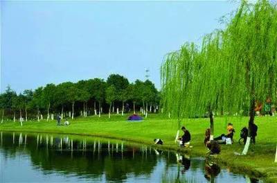 中秋送好禮!沙家浜、新四軍紀念館+虎丘濕地公園、山塘老街二日游